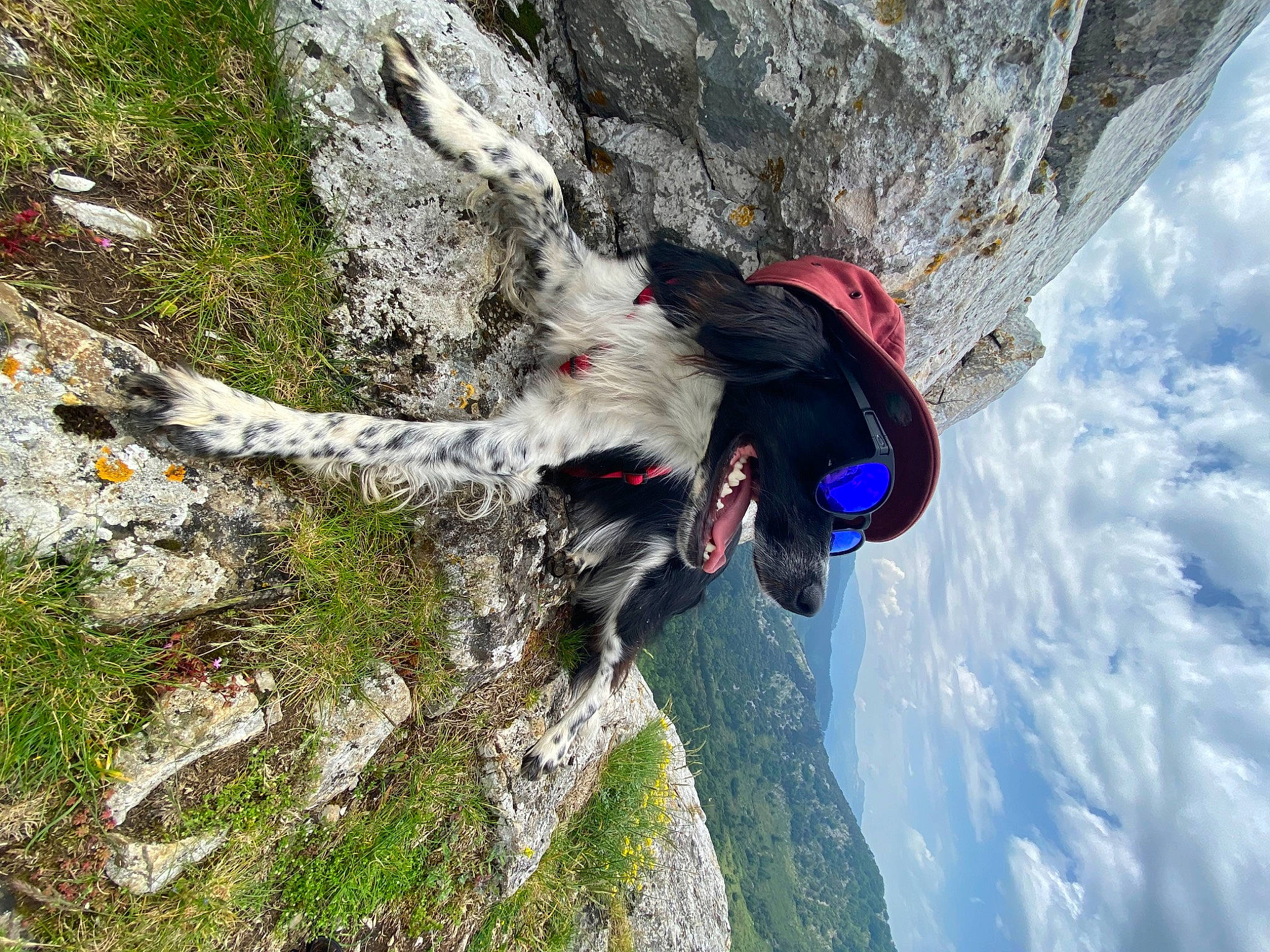 Saïko participe au concours pour gagner de l'argent avec cette photo : adventure, batholith, bedrock, climbing, escarpment, extreme_sport, fun, klippe, mountain, mountaineer, outcrop, plant, recreation, rock, rock_climbing, rock_climbing_equipment, sky, slope, sport_climbing, sports