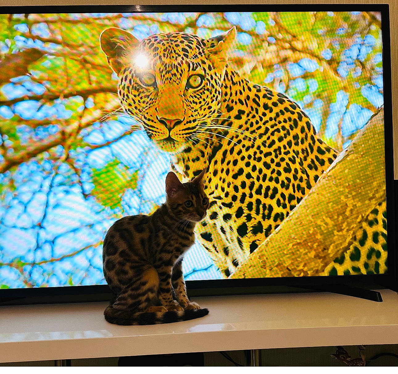 Thalïa a rejoint le concours — aidez-le/la à gagner de superbes lots ! african_leopard, art, big_cats, carnivore, cat, felidae, jaguar, leopard, organism, pattern, plant, rectangle, small_to_medium_sized_cats, snout, tail, terrestrial_animal, visual_arts, whiskers, wildlife, yellow