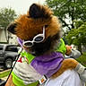 dog, sunglasses, clothing, outdoor, person, holding, fur, trees, car, greenery, purple, white, cute, pet, fashion, accessory, canine, closeup, portrait, daytime