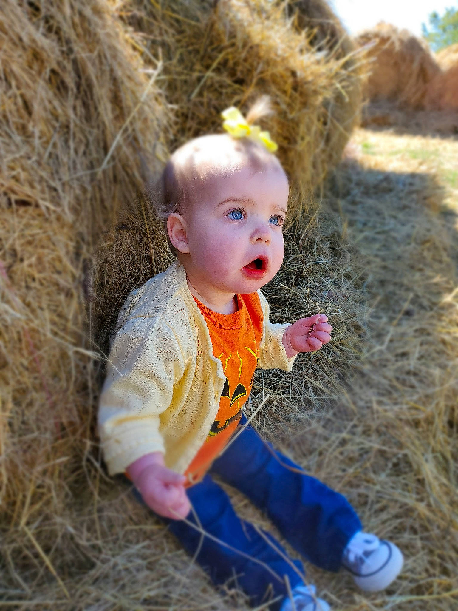 Eliana is registered to the contest to win money with this photo: baby, child, fawn, fun, grass, grass_family, hay, person, photography, plant, play, straw, surprise, toddler
