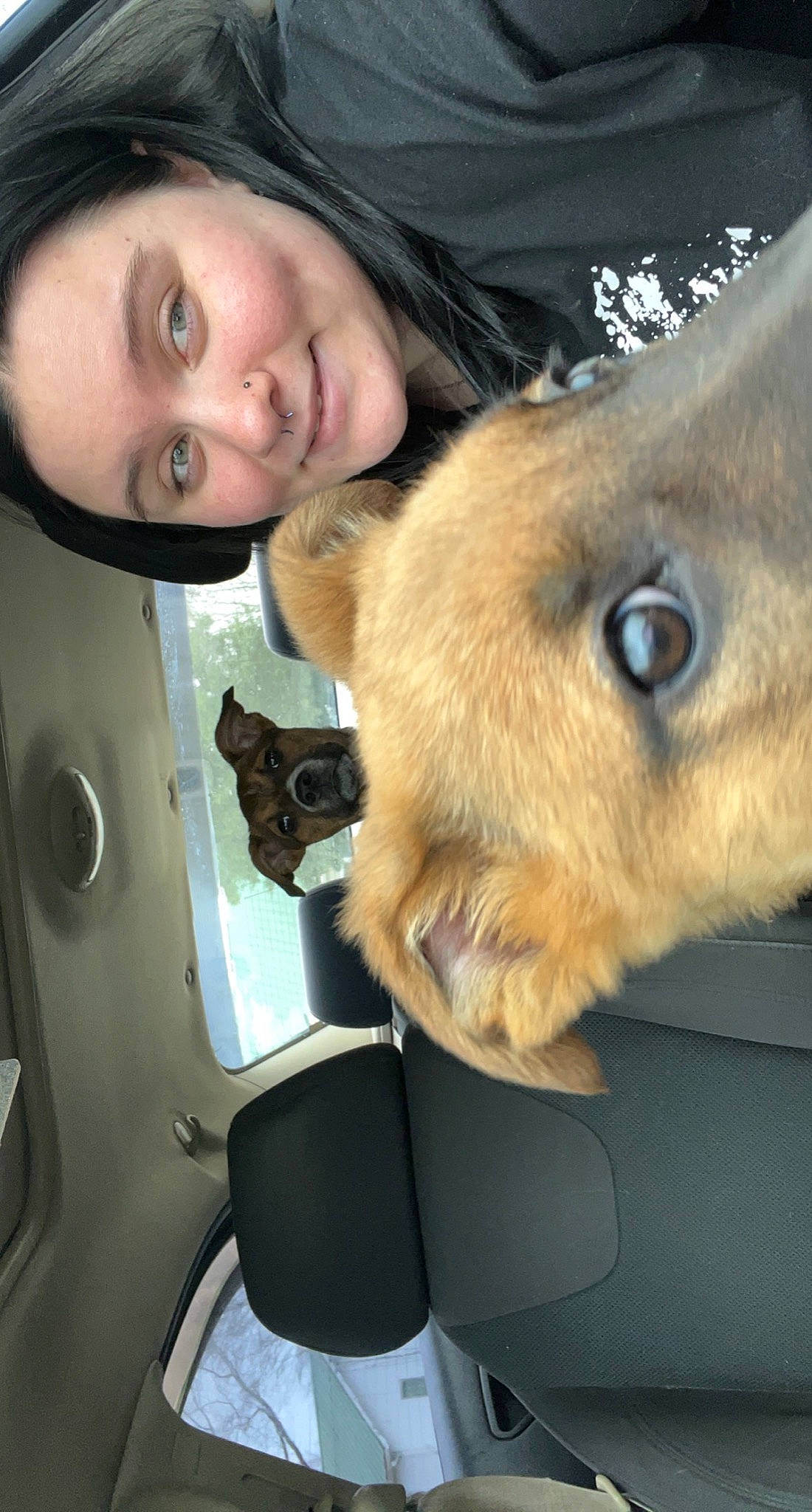 Rivia is registered to the contest to win money with this photo: dog_breed, ear, eye, eyebrow, eyelash, face, fawn, felidae, hair, hairstyle, head, human_body, iris, jaw, mouth, nose, skin, smile, snout, whiskers