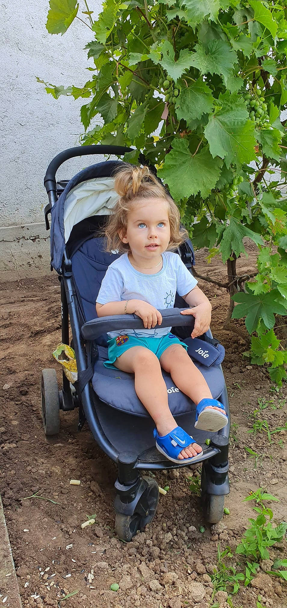 Darius joined the competition — help win amazing prizes! baby_carriage, baby_products, baby_toddler_clothing, child, comfort, electric_blue, fun, grapevine_family, grass, happy, leaf, leisure, people_in_nature, person, plant, recreation, sitting, tire, toddler, travel
