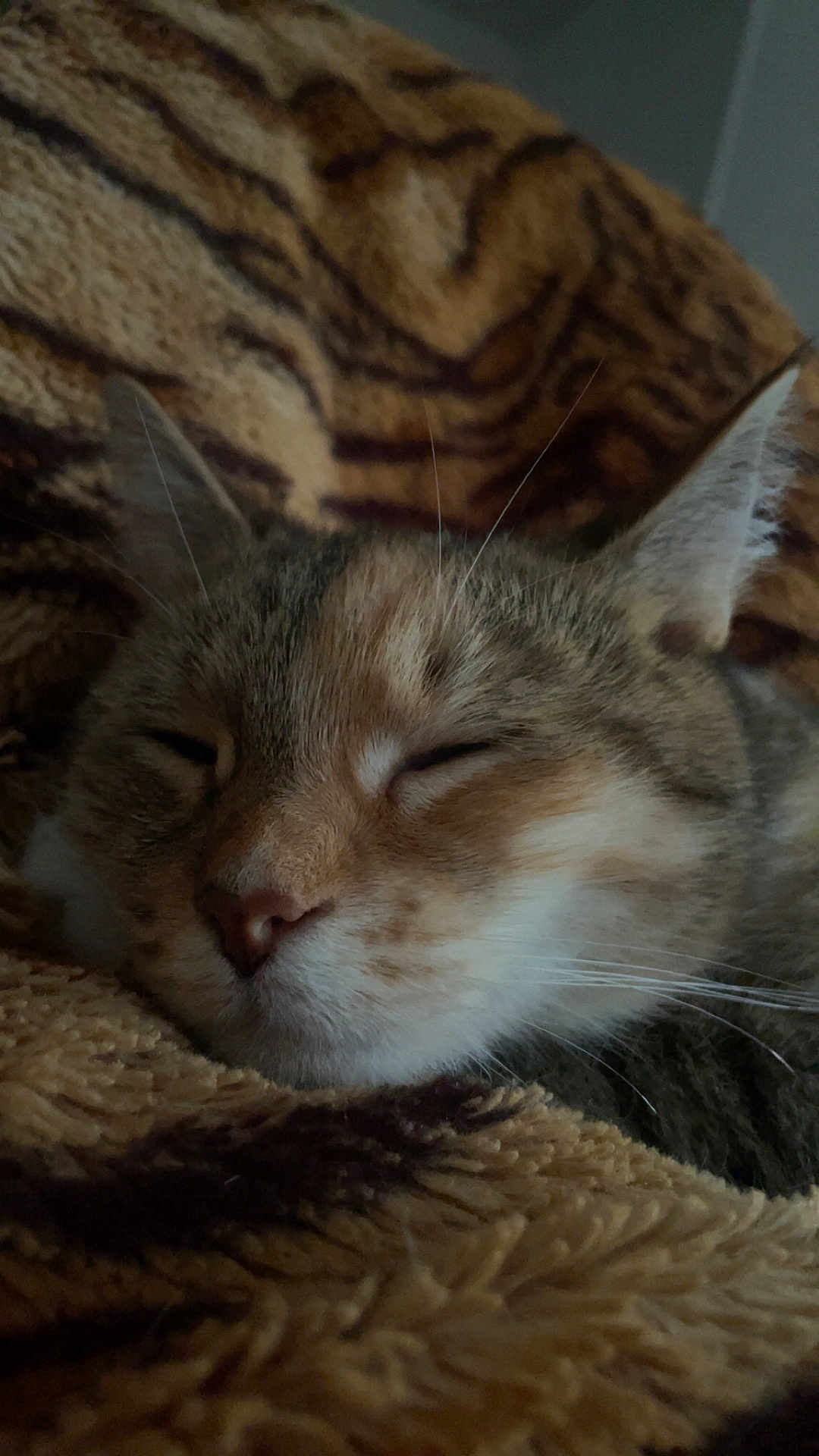 Nala