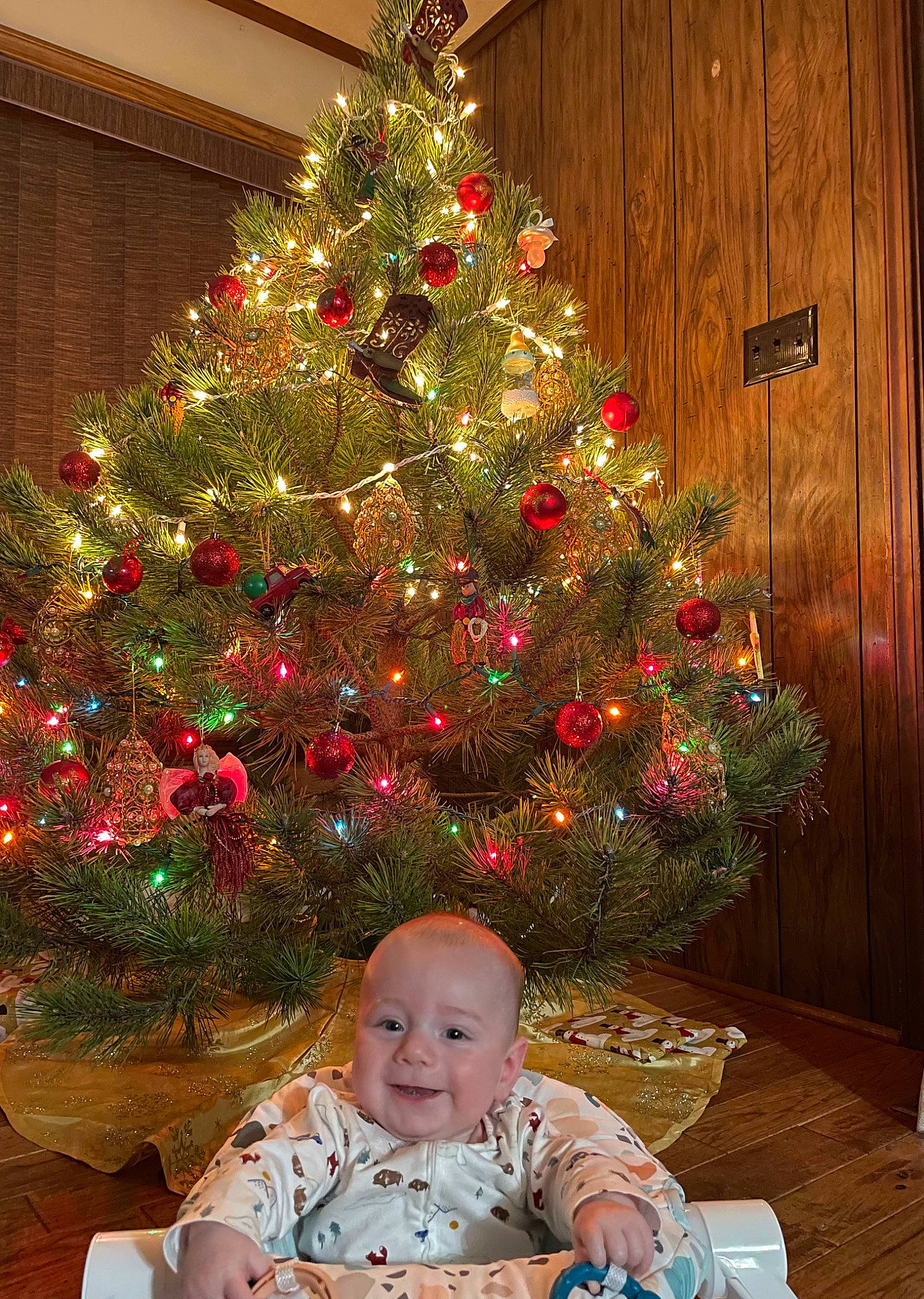 Stoney is registered to the contest to win money with this photo: baby, baby_toddler_clothing, christmas_decoration, christmas_ornament, christmas_tree, event, evergreen, flowerpot, holiday_ornament, joy, larch, light, ornament, person, plant, red, smile, tints_and_shades, toddler, tree