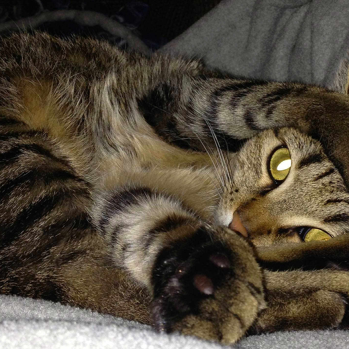 Munchies joined the competition — help win amazing prizes!