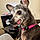 Zoey