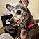 Zoey