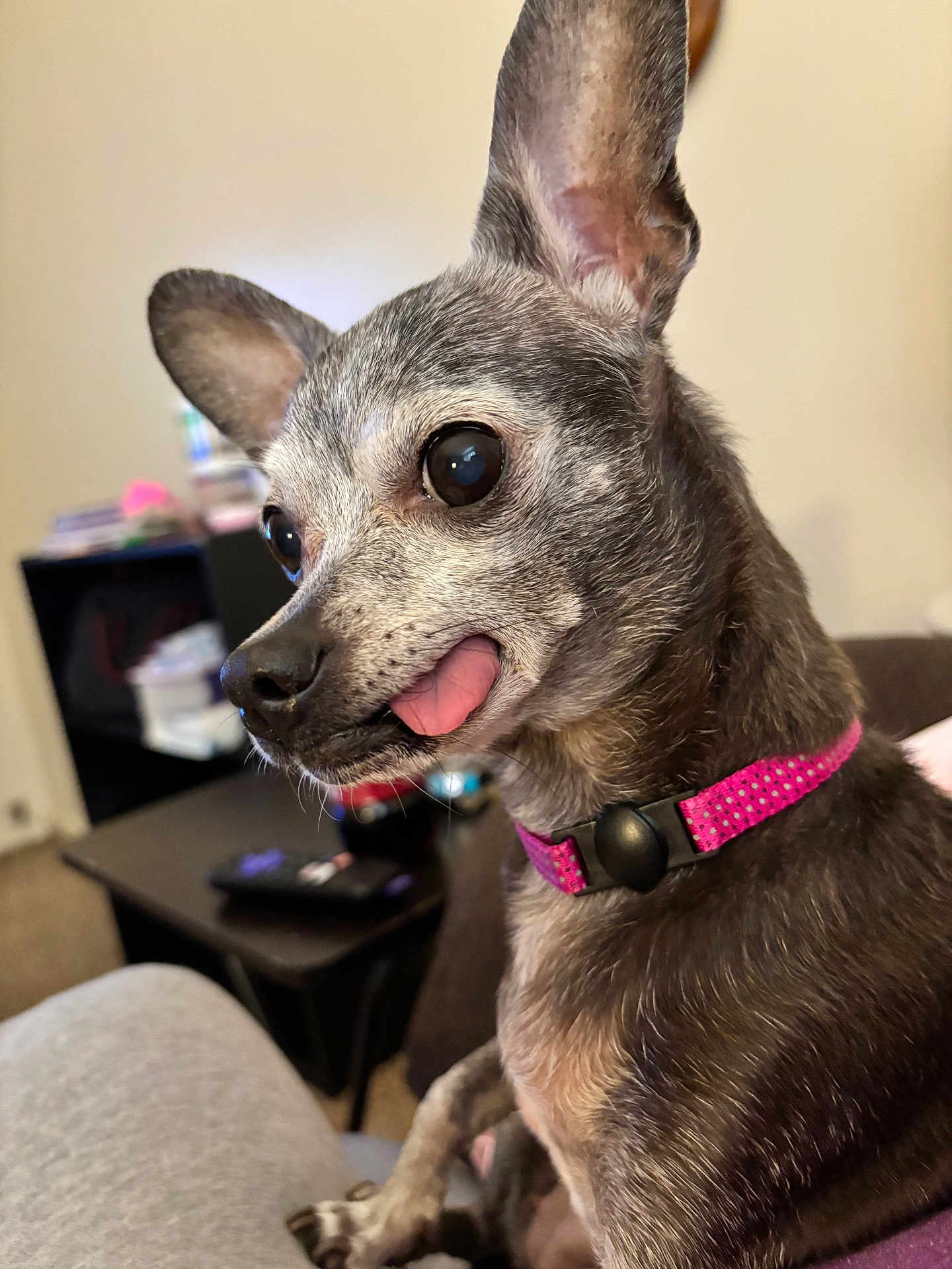 Zoey