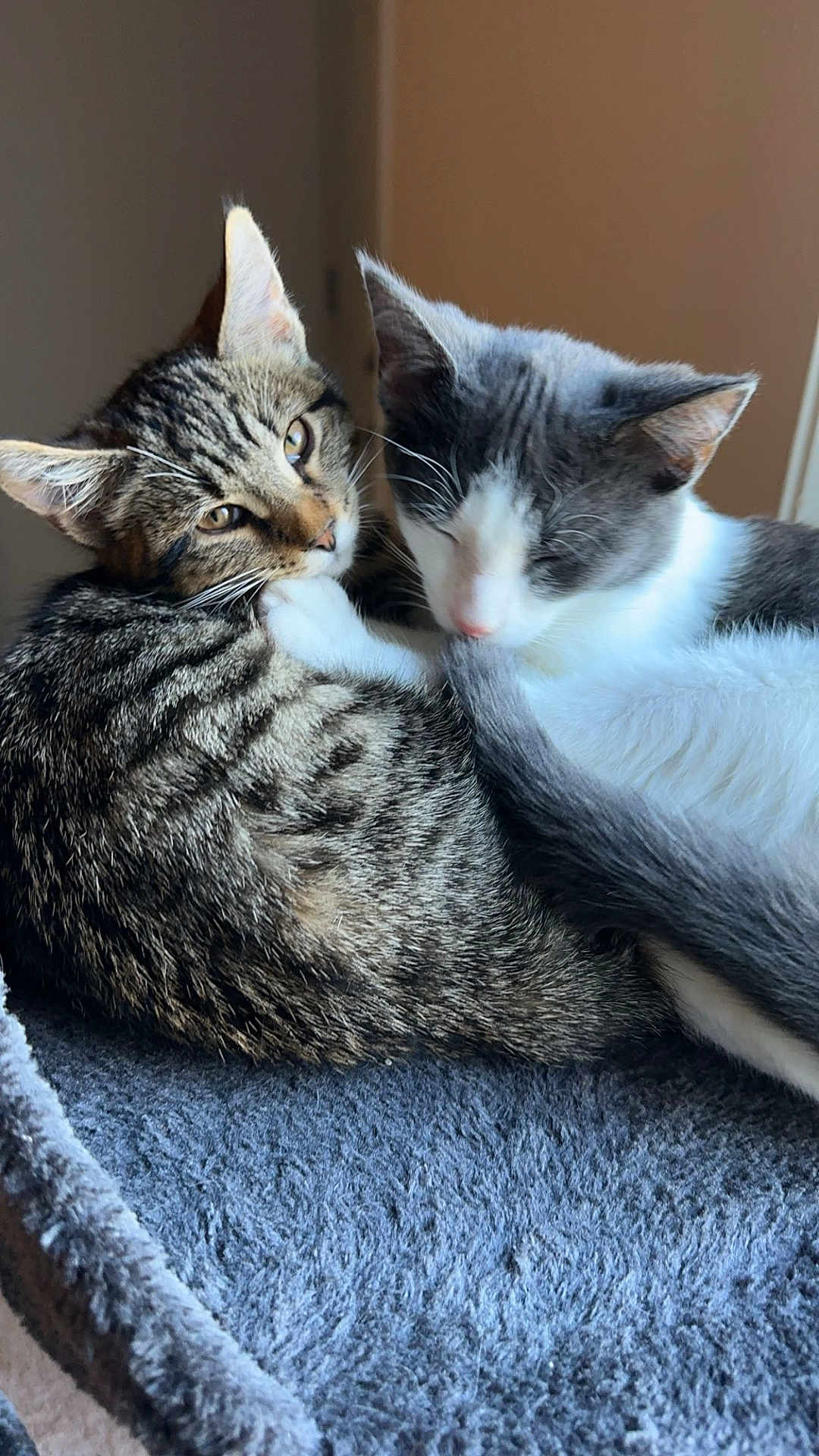 Isa And Cece