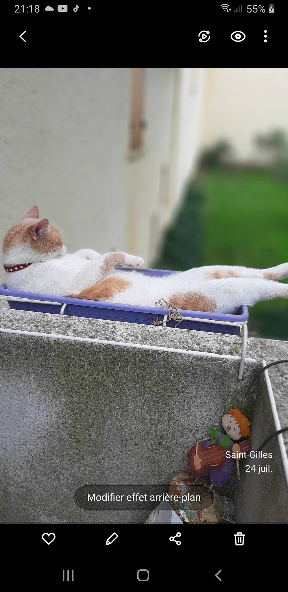 Pearly participe au concours pour gagner de l'argent avec cette photo : cat, comfort, comfort_food, cooking, cuisine, domestic_short_haired_cat, felidae, fur, ingredient, linens, recipe, rectangle, room, sitting, small_to_medium_sized_cats, smoke, whiskers, wood