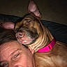 Asia Marie is registered to the contest to win money with this photo: affection, animal, close_up, companion, cozy, dog, ear, face, friendship, indoor, nose, person, pet, pink_collar, portrait, relaxation, skin, sleeping, snuggle, tired