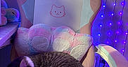 Chips is registered to the contest to win money with this photo: cats, two_cats, sleeping, cuddling, tabby_cat, black_and_white_cat, pet, animal, gaming_chair, pastel, rainbow_blanket, plush_blanket, fairy_lights, blue_lighting, cozy, indoors, bedroom, stuffed_animal, cat_design, relaxing