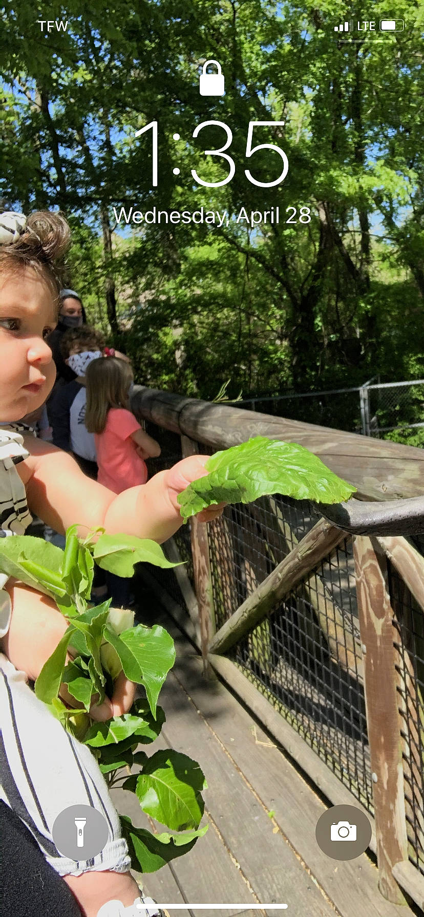 Londynn is registered to the contest to win money with this photo: adaptation, fence, forest, garden, grass, jungle, leaf, leaf_vegetable, leisure, mammal, natural_environment, natural_foods, person, plant, plantation, recreation, soil, terrestrial_plant, tree, wood