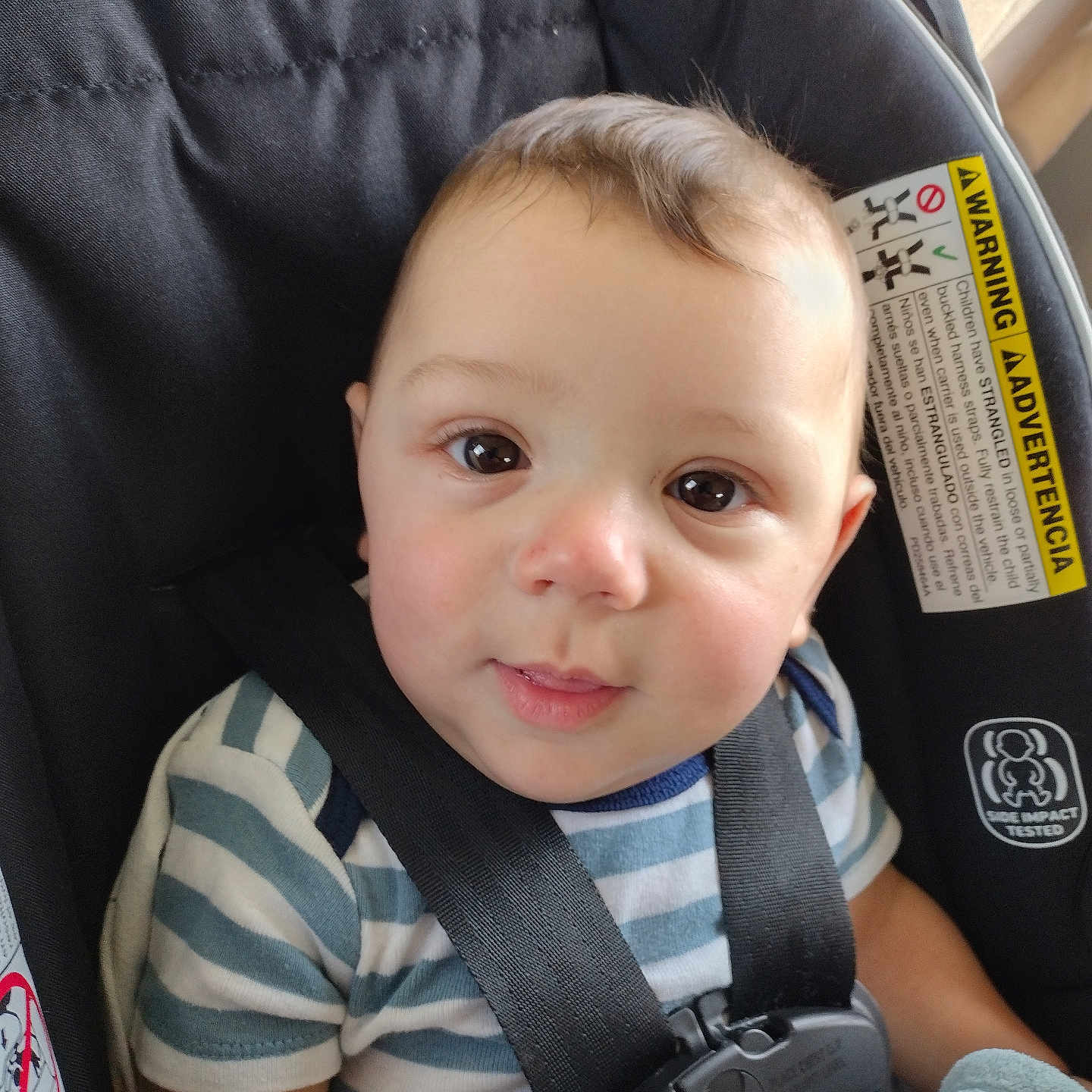 Trenton joined the competition — help win amazing prizes! baby, car_seat, child, closeup, clothing, cute, eyes, face, harness, indoors, infant, person, portrait, safety, seatbelt, sitting, smile, soft_light, striped_shirt, young_child