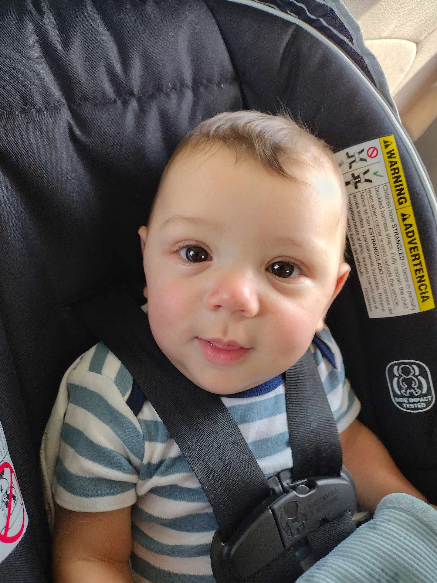 Trenton joined the competition — help win amazing prizes! baby, child, car_seat, striped_shirt, harness, face, eyes, smile, infant, sitting, safety, seatbelt, cute, portrait, indoors, young_child, soft_light, closeup, person, clothing