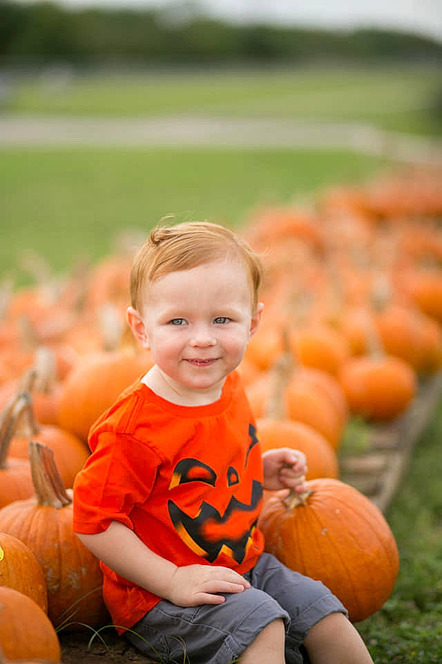 Cody is registered to the contest to win money with this photo: child, fun, girl, grass, happiness, infant, joy, person, play, portrait_photography, pumpkin, sitting, smile, toddler