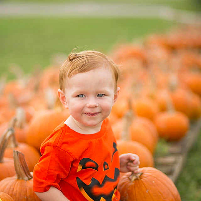 Cody is registered to the contest to win money with this photo: child, fun, girl, grass, happiness, infant, joy, person, play, portrait_photography, pumpkin, sitting, smile, toddler