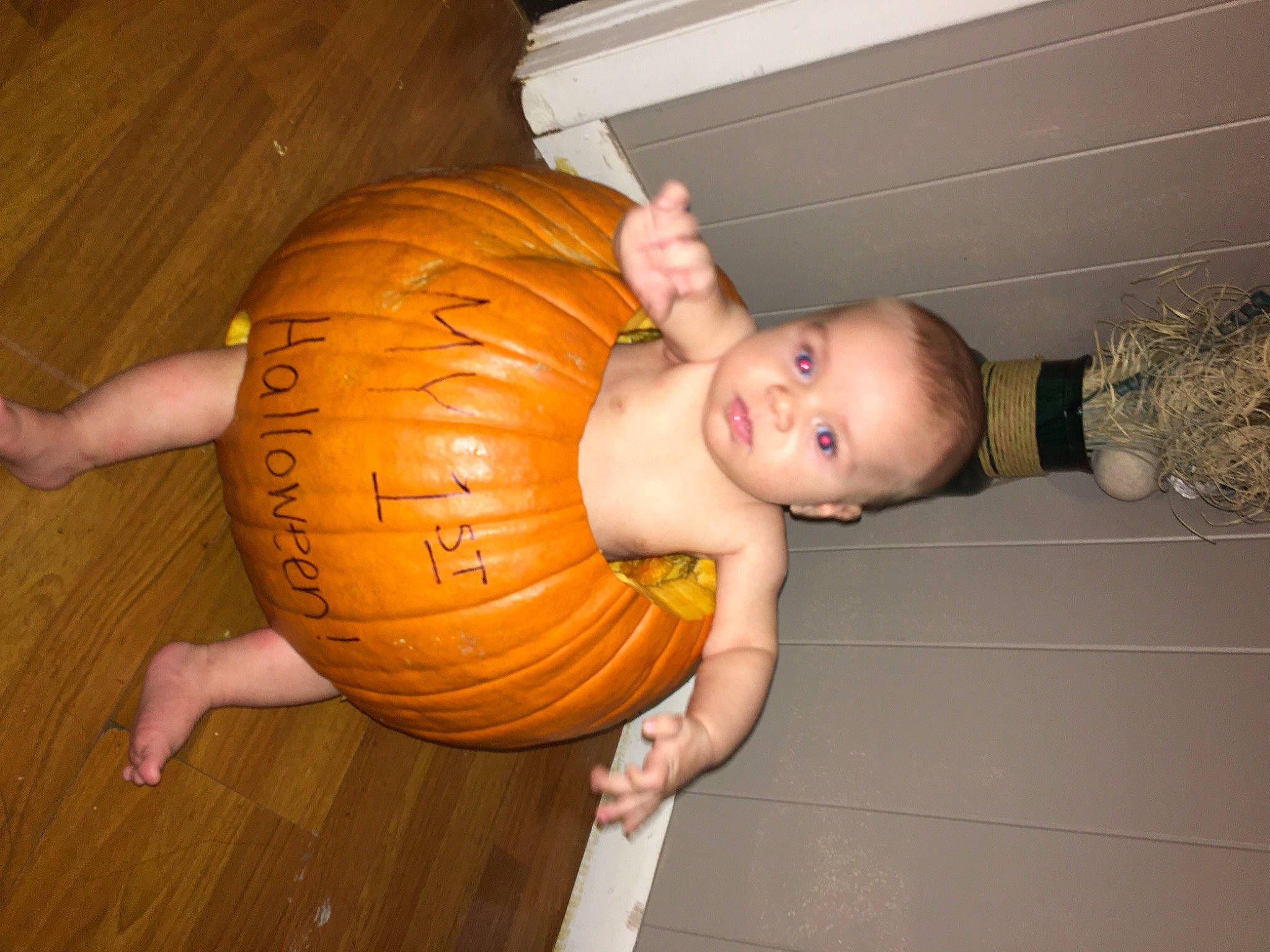 Lincoln joined the competition — help win amazing prizes! abdomen, ball, calabaza, chest, elbow, floor, flooring, gourd, hair, hardwood, person, pumpkin, shoulder, squash, thumb, trunk, varnish, vegetable, winter_squash, wood