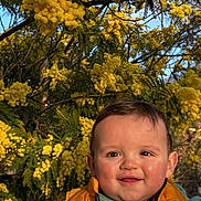 émile participe au concours pour gagner de l'argent avec cette photo : child, baby, toddler, smiling, face, portrait, outdoors, yellow_flowers, mimosa, tree, foliage, greenery, orange_jacket, teal_shirt, sunlight, happy, cheeks, close_up, nature, blue_sky