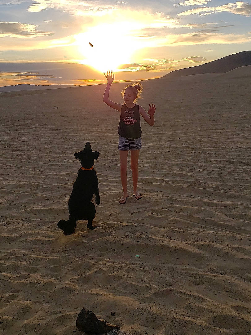 Chief joined the competition — help win amazing prizes! beach, cloud, coast, evening, fun, horizon, landscape, ocean, photography, sand, sea, shadow, sky, sunset, vacation