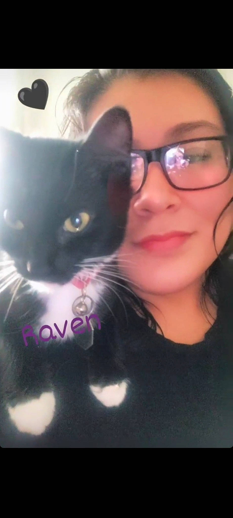 Raven joined the competition — help win amazing prizes! black_hair, carnivore, cat, cool, ear, eyewear, felidae, formal_wear, fur, gesture, glasses, happy, iris, nose, selfie, small_to_medium_sized_cats, smile, snout, vision_care, whiskers