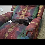 Raven is registered to the contest to win money with this photo: automotive_exterior, automotive_lighting, bedding, bumper, car_seat, font, human_leg, linens, magenta, motor_vehicle, pattern, sleeve, sportswear, t_shirt, tattoo, textile, thigh, tints_and_shades, vehicle_door, windshield
