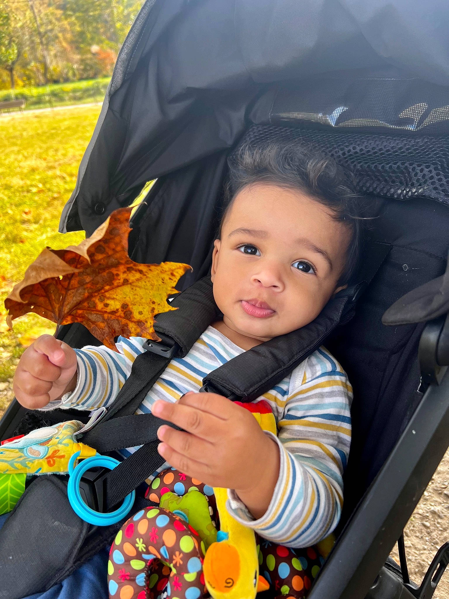 Cassius is registered to the contest to win money with this photo: auto_part, baby, baby_products, chair, child, event, fashion_accessory, fun, grass, happy, leaf, leisure, person, plant, recreation, sitting, t_shirt, toddler, toy, tree
