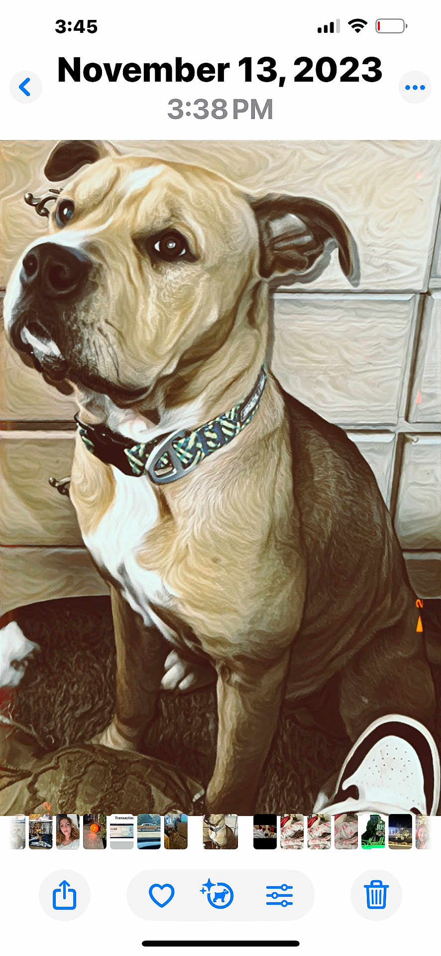 Odie