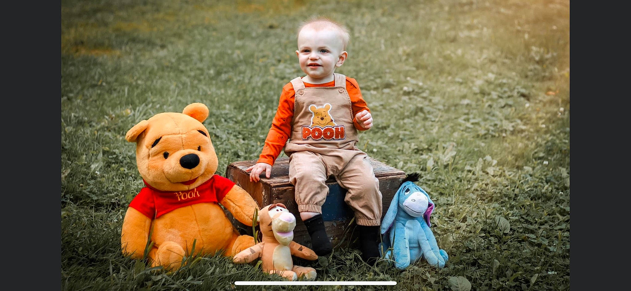 Declan is registered to the contest to win money with this photo: adaptation, baby, child, fun, grass, happy, joy, landscape, leisure, mammal, people_in_nature, person, photograph, snapshot, stuffed_toy, summer, teddy_bear, toddler, toy, vertebrate