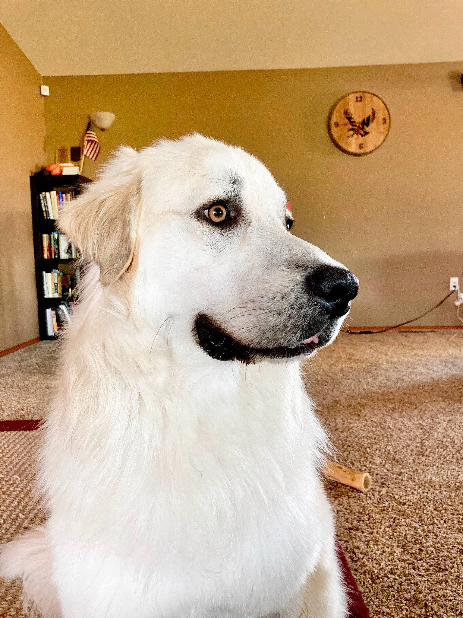 Finnegan James Aka Finny