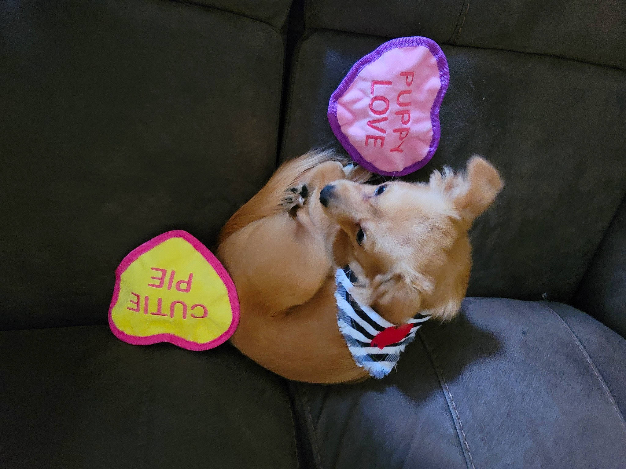 Guerõ joined the competition — help win amazing prizes! abdomen, barechested, eyewear, fashion_accessory, flesh, fun, fur, gesture, human_leg, jewellery, love, magenta, nail, pink, romance, stuffed_toy, sweetness, teddy_bear, thigh, toy