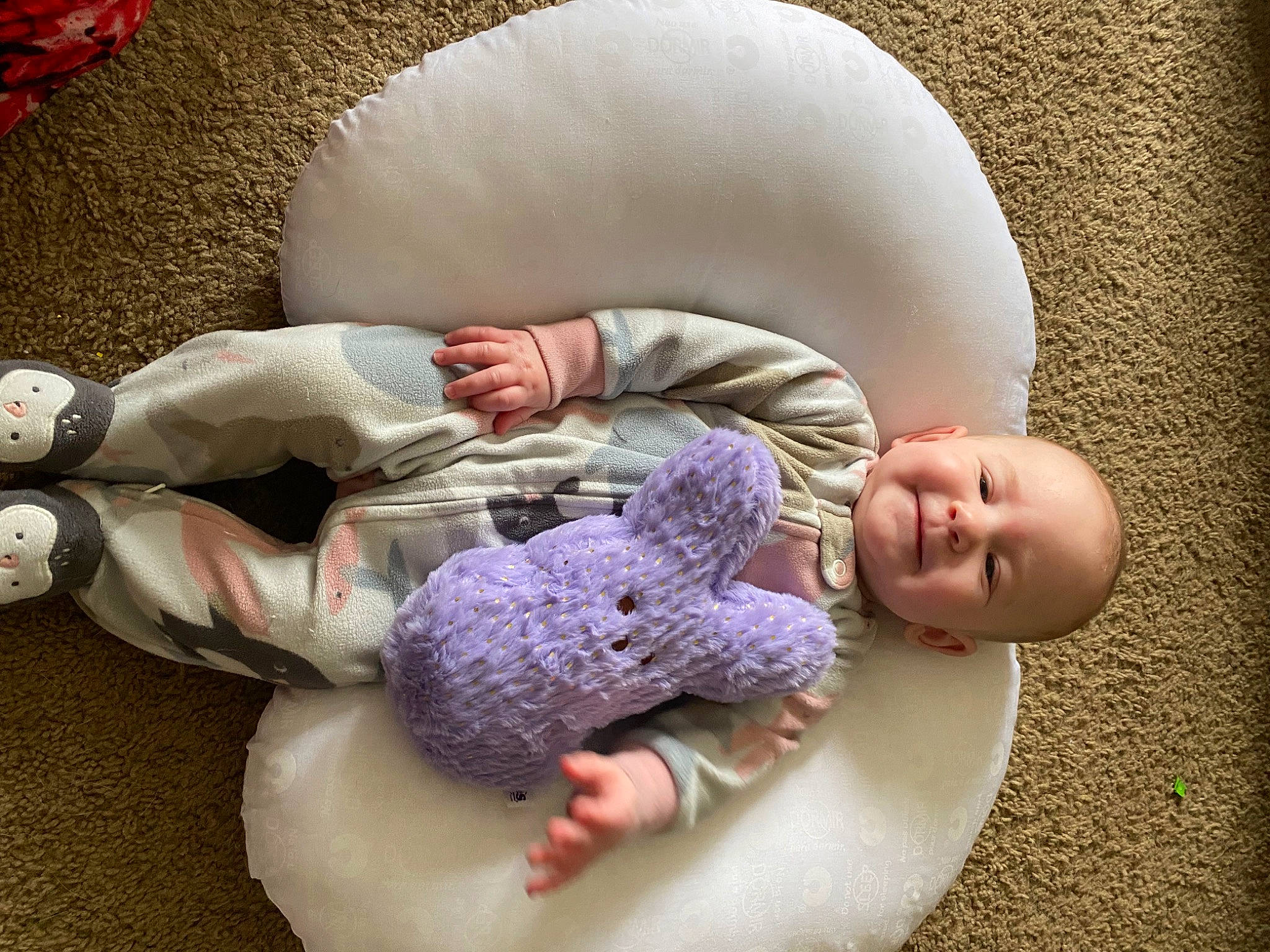 Charlotte is registered to the contest to win money with this photo: baby, baby_products, baby_sleeping, baby_toddler_clothing, cheek, child, comfort, flooring, fun, happy, head, headgear, joy, linens, person, play, room, sitting, skin, sleeve