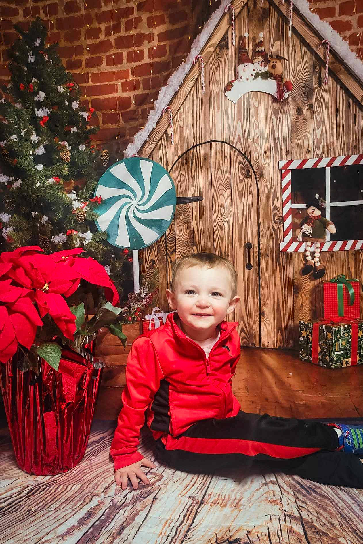 Jesiah is registered to the contest to win money with this photo: christmas_decoration, christmas_ornament, flower, fun, grass, green, happy, house, joy, leaf, leisure, mammal, organ, ornament, person, plant, red, smile, standing, tree