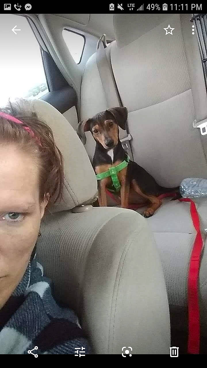 Dannica Patrick Aka Danni P.