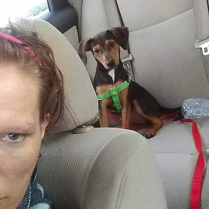 Dannica Patrick Aka Danni P.