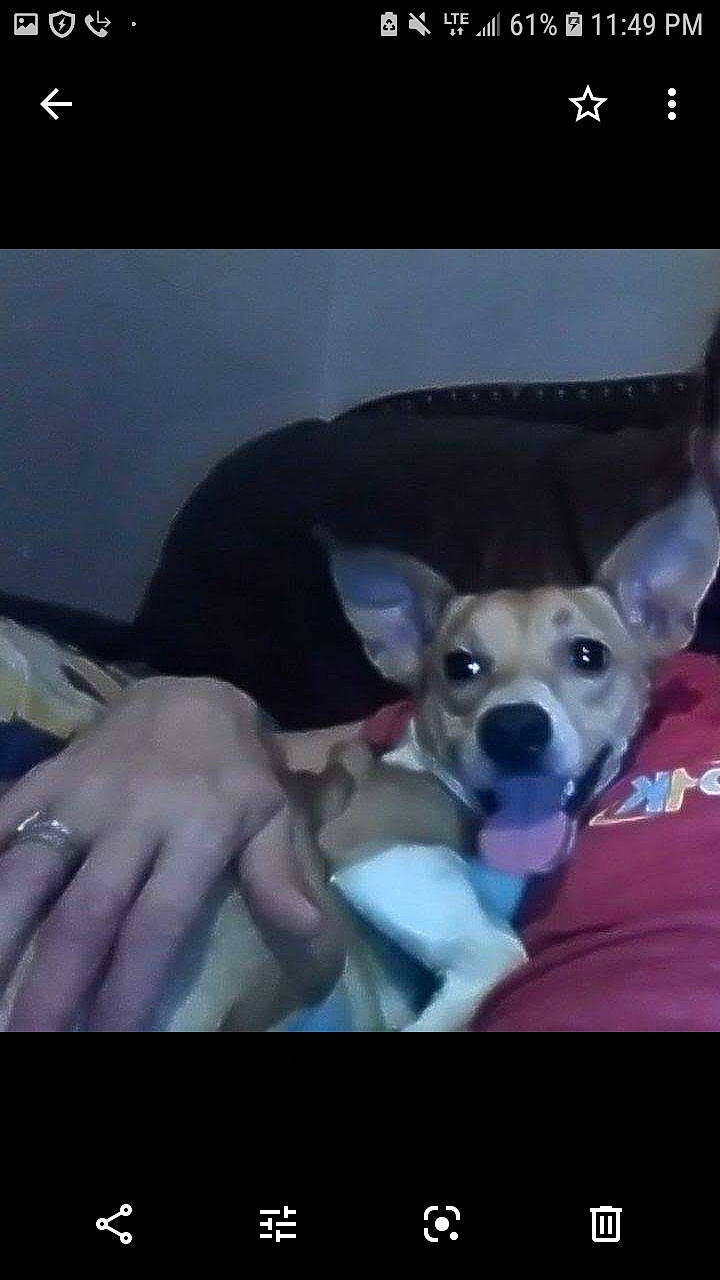 Speedy Gonzales Aka Speedy G