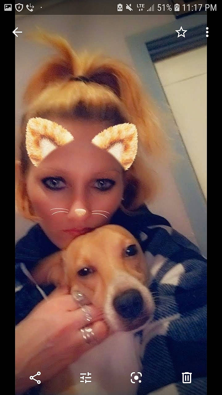 Speedy Gonzales Aka Speedy G joined the competition — help win amazing prizes! canidae, carnivore, companion_dog, dog, dog_breed, ear, eye, eyebrow, face, fawn, head, nose, organ, pembroke_welsh_corgi, photography, puppy, puppy_love, selfie, snout, welsh_corgi