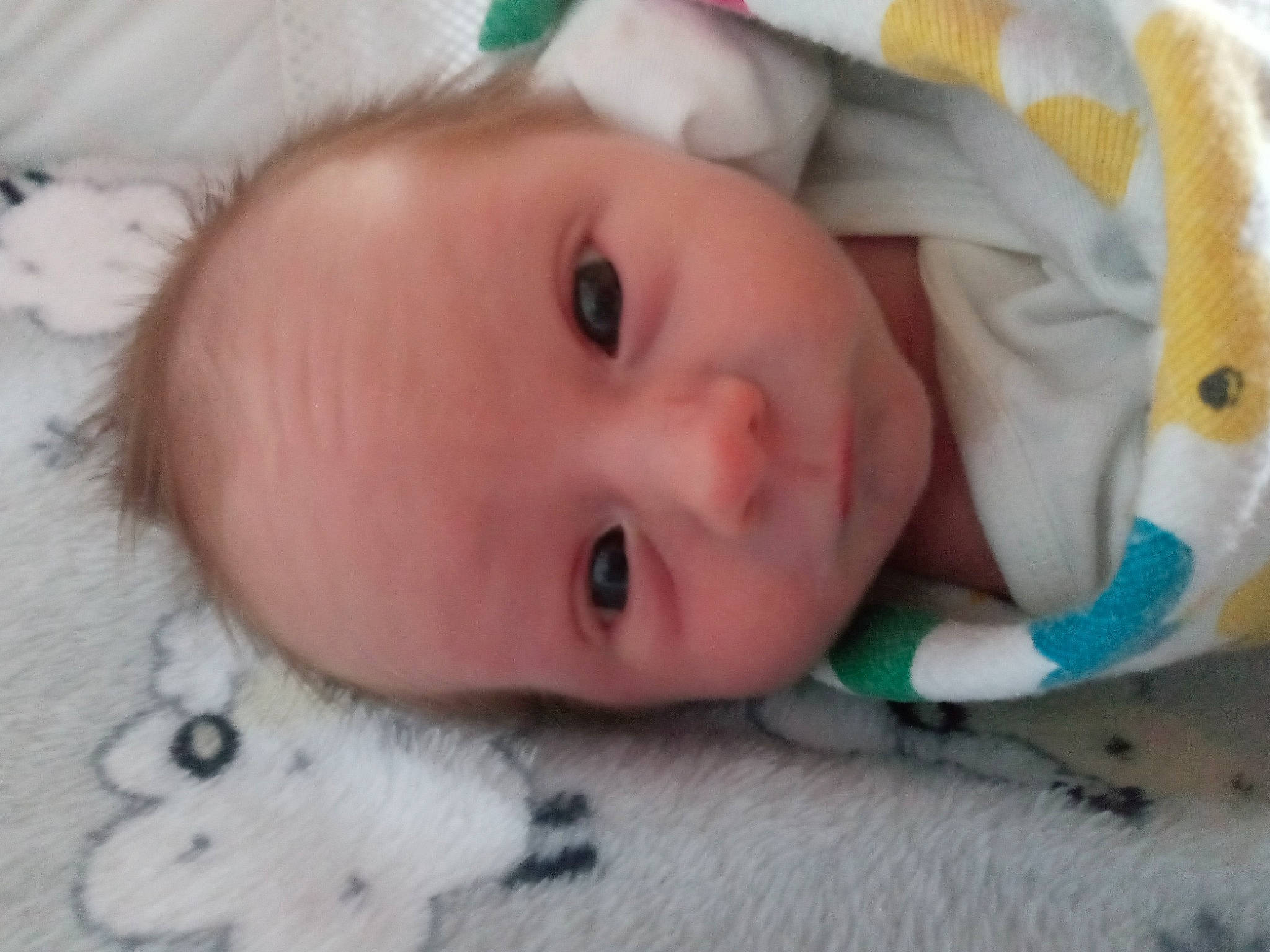 Jaxon is registered to the contest to win money with this photo: baby, baby_toddler_clothing, cheek, child, chin, close_up, comfort, eye, eyebrow, eyelash, facial_expression, head, iris, lip, nose, person, product, skin, textile, toddler