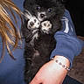 animal, black_fur, blue_sweatshirt, bracelet, cuddly, cute, dog, eyes, face, fingers, fur, hand, holding, indoor, pet, portrait, puppy, small, white_paws, young