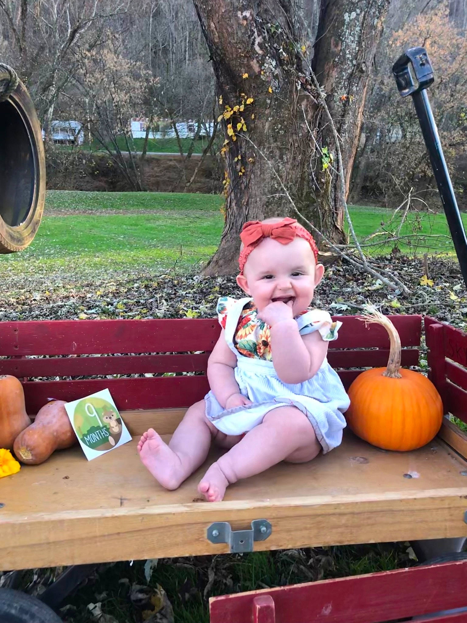 Peyton is registered to the contest to win money with this photo: baby, baby_toddler_clothing, calabaza, cucurbita, gourd, grass, green, happy, hat, joy, leisure, outdoor_furniture, person, plant, pumpkin, recreation, sitting, toddler, tree, vegetable