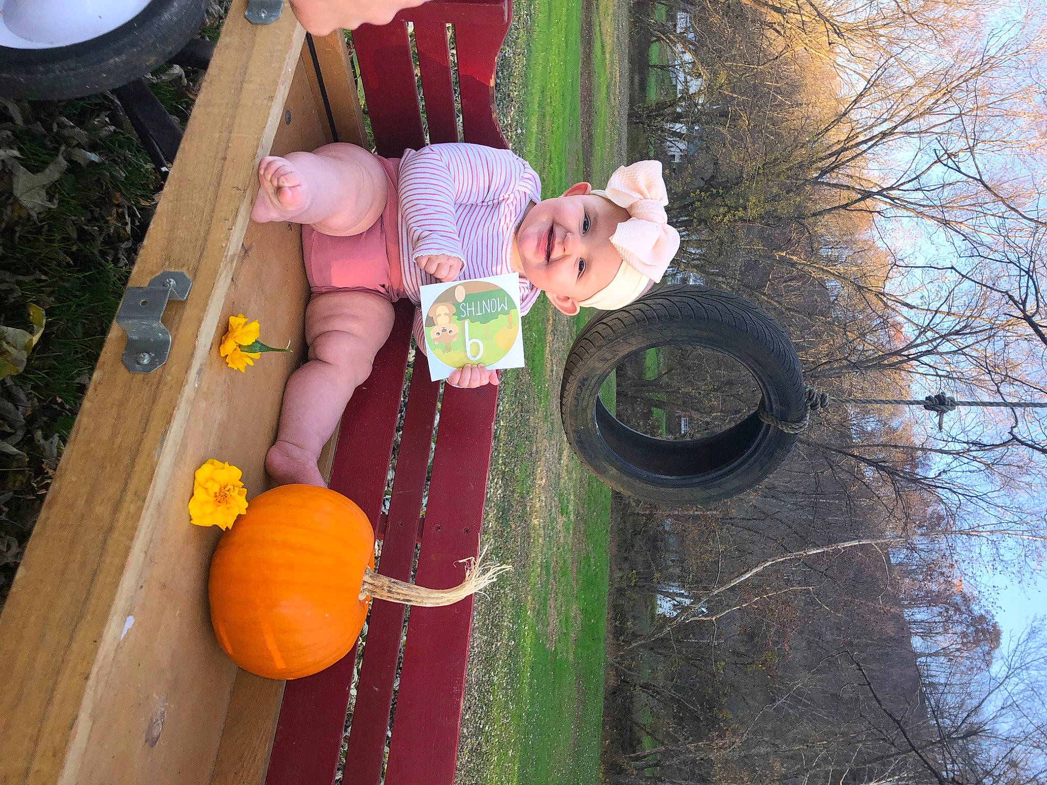 Peyton joined the competition — help win amazing prizes! automotive_tire, calabaza, cucurbita, fun, gourd, grass, green, headwear, joy, leisure, natural_foods, person, plant, pumpkin, sky, squash, sunglasses, tire, tree, trunk