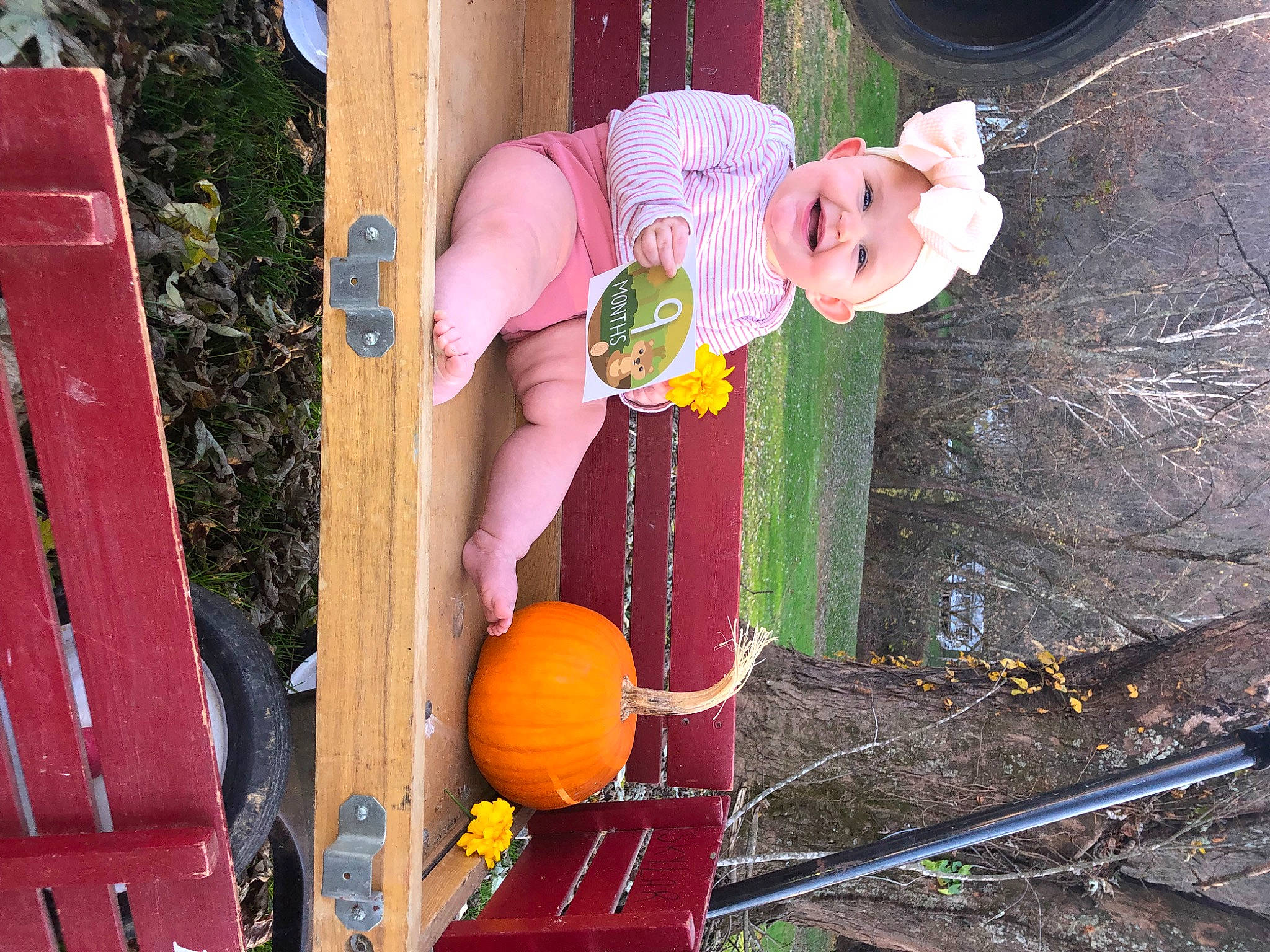 Peyton joined the competition — help win amazing prizes! _and_melon_family, _gourd, calabaza, cucumber, cucurbita, gourd, headwear, joy, leisure, local_food, magenta, natural_foods, person, plant, scarecrow, squash, toy, tree, winter_squash, wood