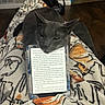 Bean joined the competition — help win amazing prizes! animal, blanket, book, cartoon_blanket, cat, cozy, ears, ebook, floor, gray_cat, home, indoors, lounge, pet, portrait, reading, relaxed, sleepy, tablet, whiskers