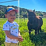 child, boy, smiling, cap, tshirt, pony, animal, grass, field, fence, sunny, outdoor, nature, greenery, daylight, portrait, happy, casual_clothing, trees, sky