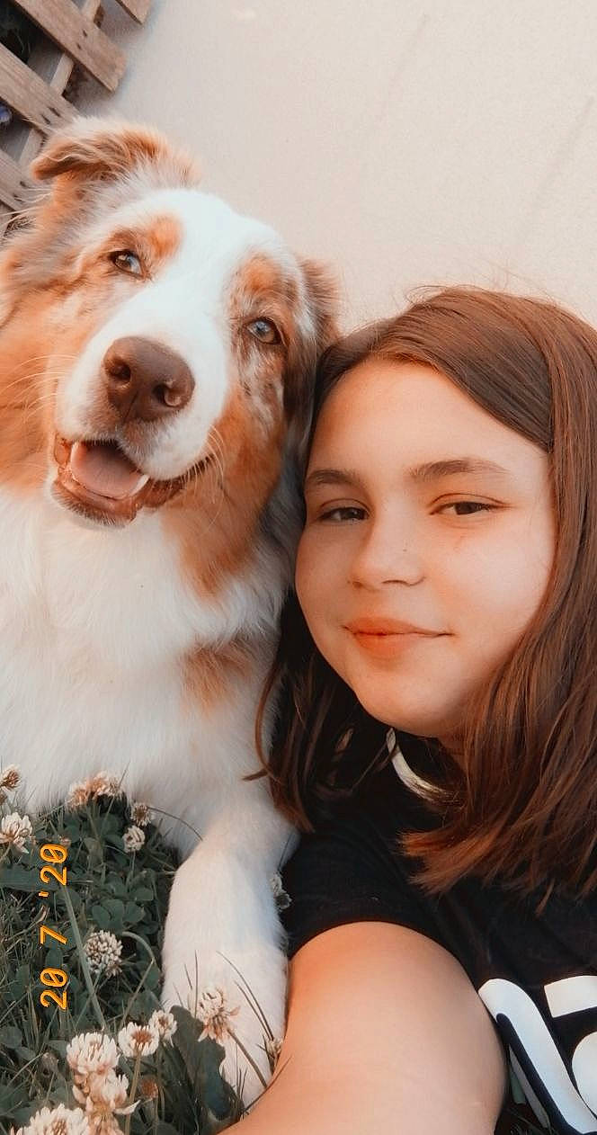 Princesse participe au concours pour gagner de l'argent avec cette photo : australian_shepherd, canidae, carnivore, companion_dog, dog, dog_breed, friendship, fun, fur, happy, miniature_australian_shepherd, puppy_love, smile, sporting_group