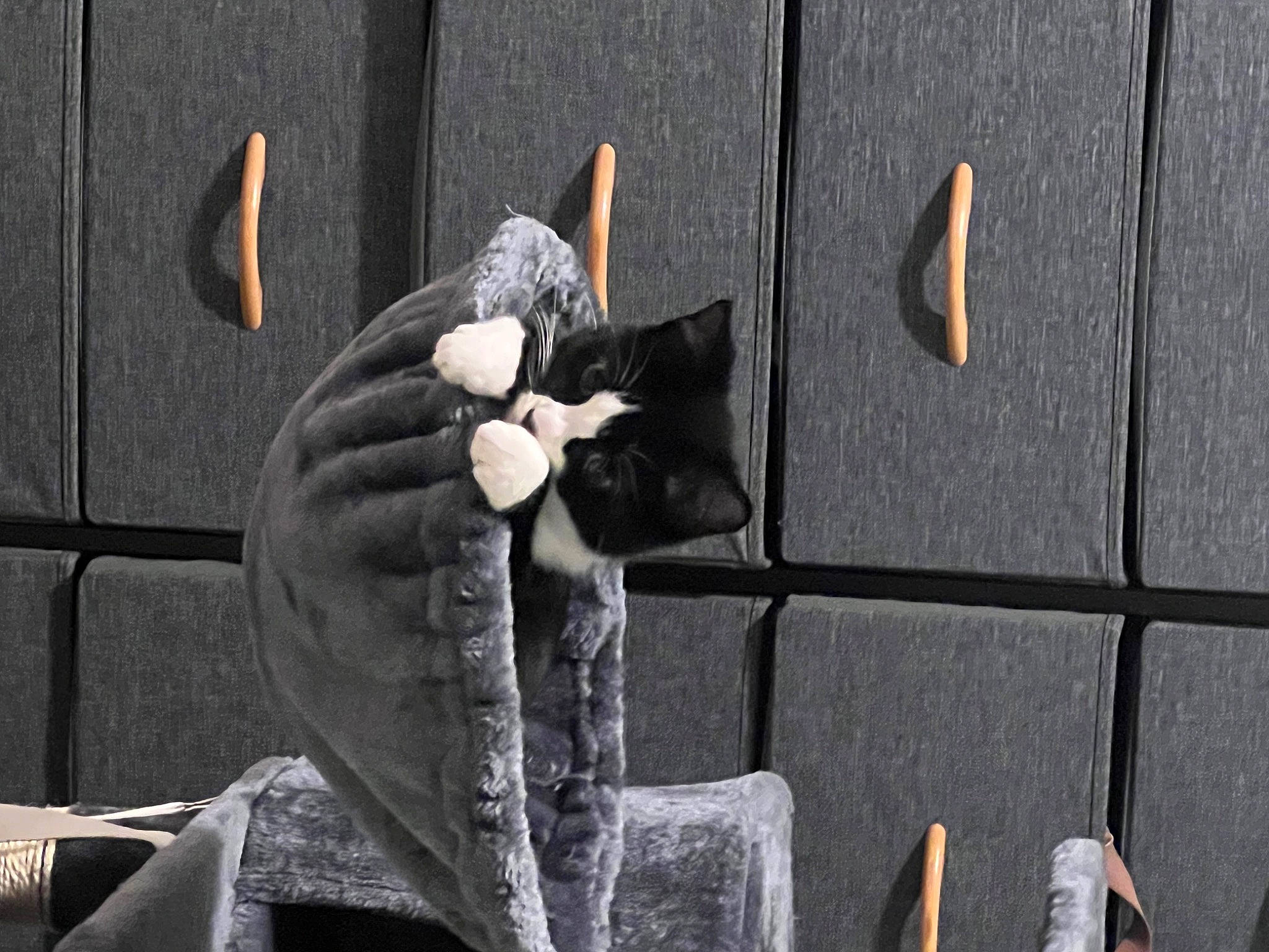 Prada joined the competition — help win amazing prizes! art, concrete, font, formal_wear, gesture, grey, monochrome_photography, plant, road_surface, rock, shadow, sitting, still_life_photography, suit, tail, tree, visual_arts, wall, wing, wood