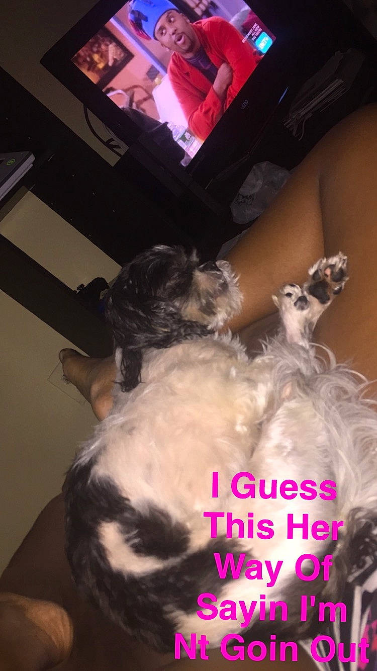 Cookie is registered to the contest to win money with this photo: black_hair, fun, photo_caption