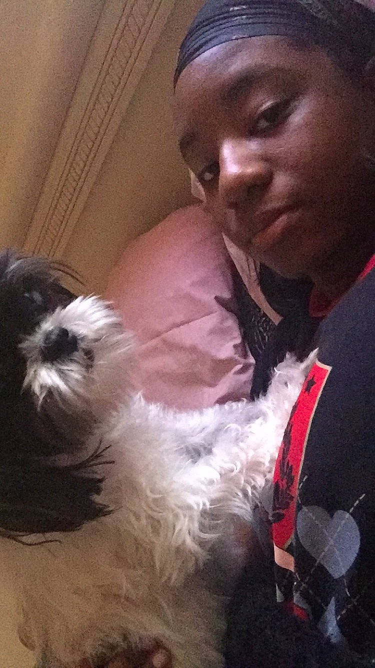 Cookie is registered to the contest to win money with this photo: black_hair, canidae, carnivore, child, companion_dog, dog, dog_breed, ear, fur, hair, human, miniature_schnauzer, non_sporting_group, photography, puppy, puppy_love, selfie, shih_tzu, toy_dog