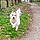 Snoopy
