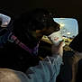 dog, rottweiler, car_interior, night, harness, cup, hand, person, window, streetlights, dark, seat, vehicle, drinking, blurred_background, animal, pet, human_interaction, leisure, transportation